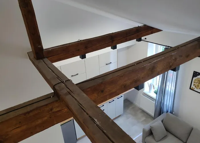 Konopnickiej 9 Studio Z Antresola Ptak, Orientarium, Atlas Arena, Szpital, Mandoria, Fala, Centrum Zdrowia Matki Polki, Rodzina, Family, Bezplatny Parking